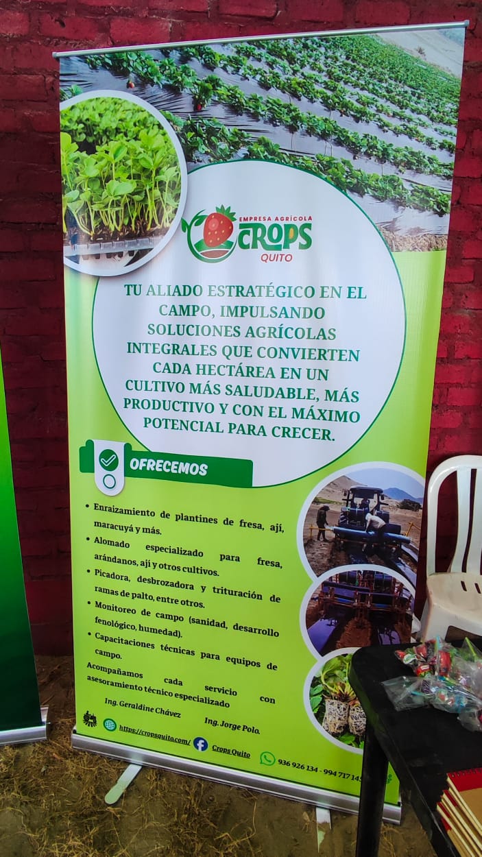 Campaña Viru foto 1