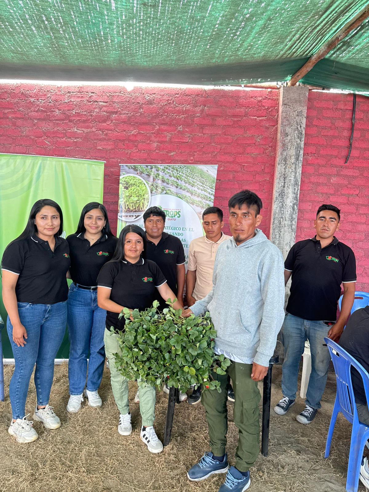 Campaña Viru foto 2