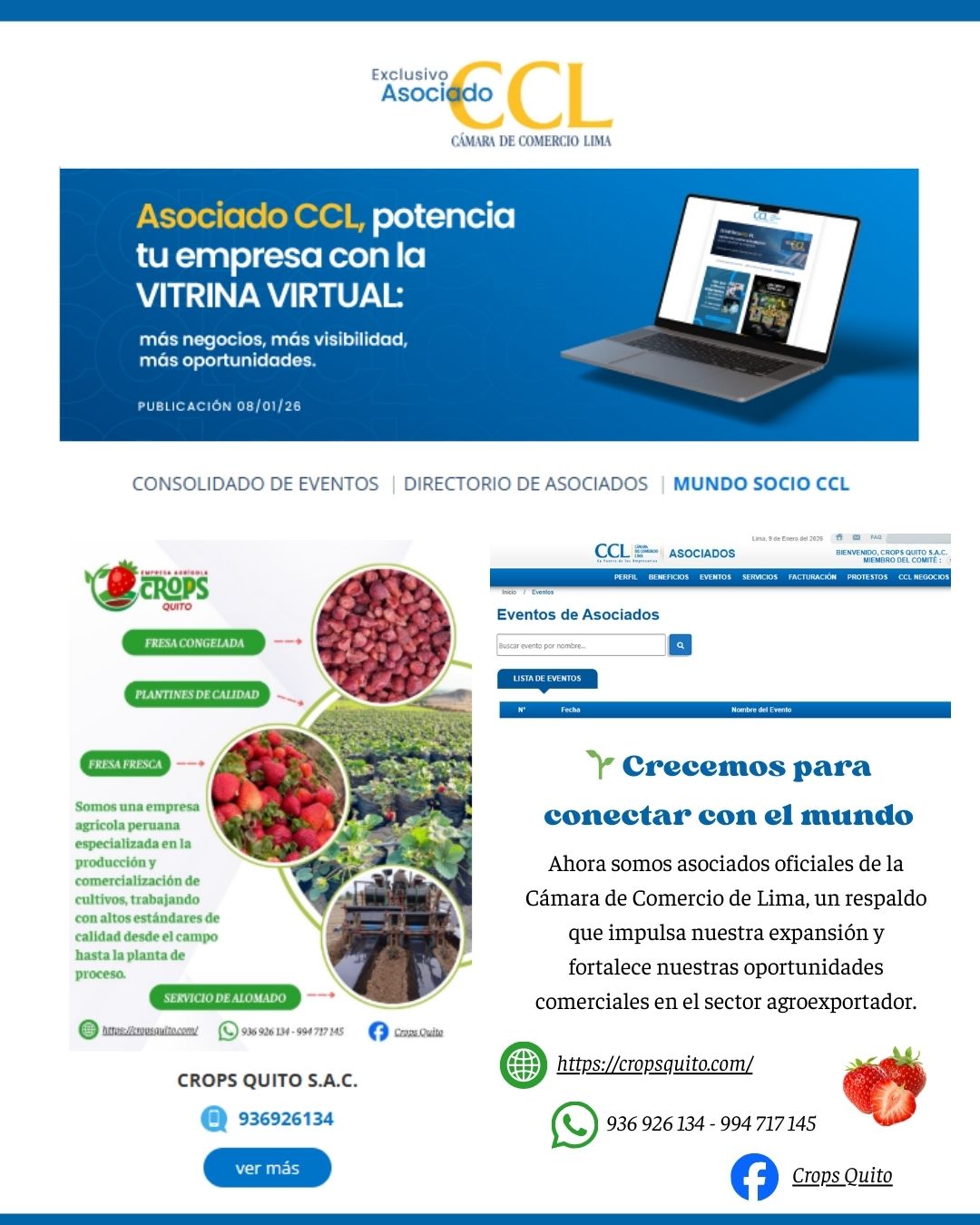 Bienvenida Cámara de Comercio