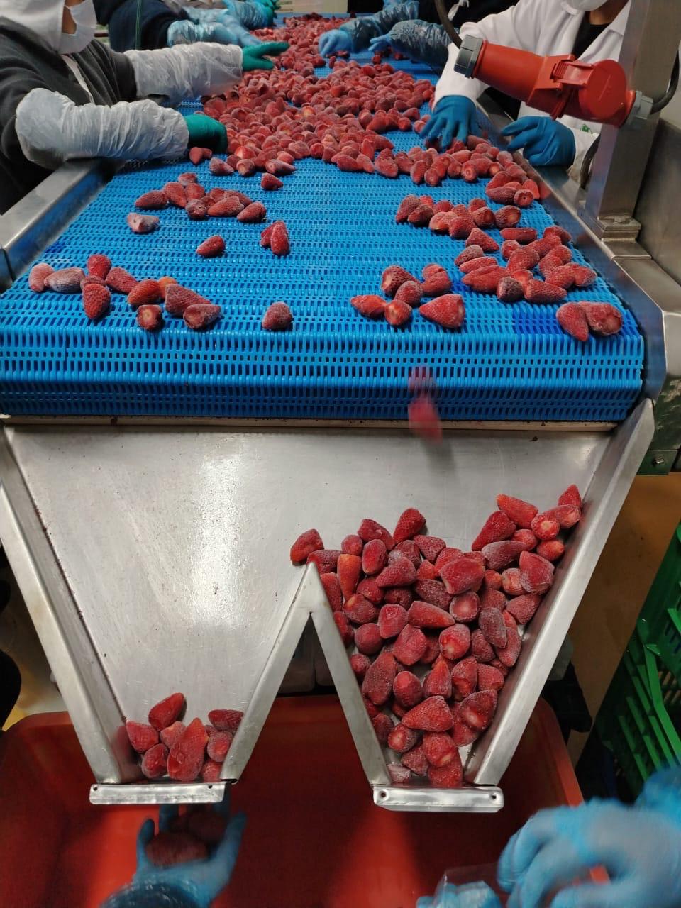 Innovación que impulsa resultados